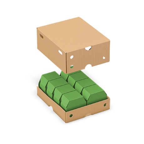 Tray/Cover carton (cover inside)